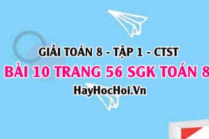 Giải bài 10 trang 56 Toán 8 Tập 1 SGK Chân trời sáng tạo